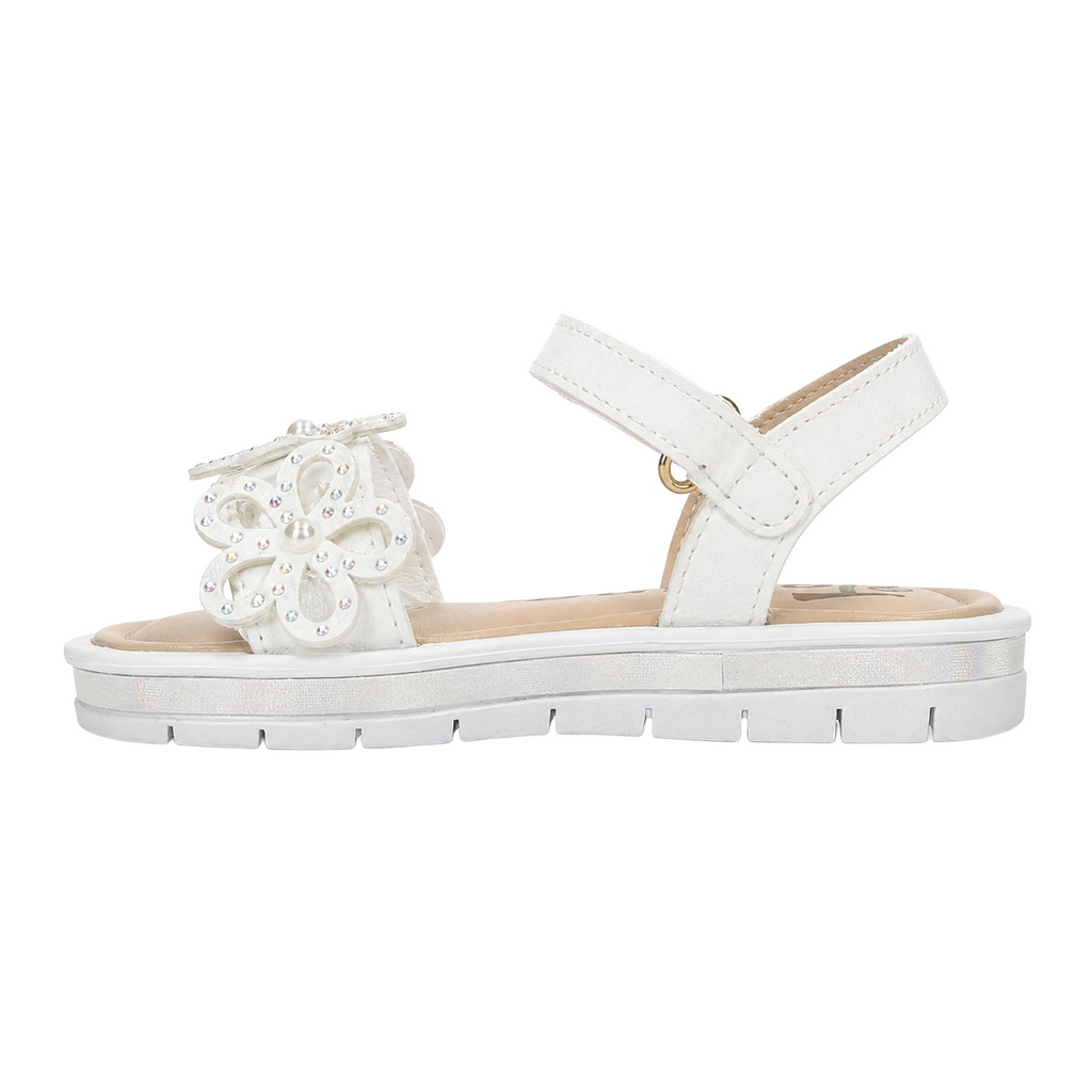 png_1500x1500_70339964